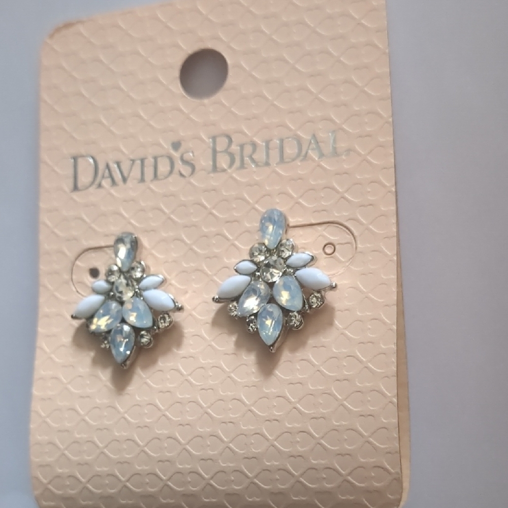 David's Bridal Silver and White Earrings